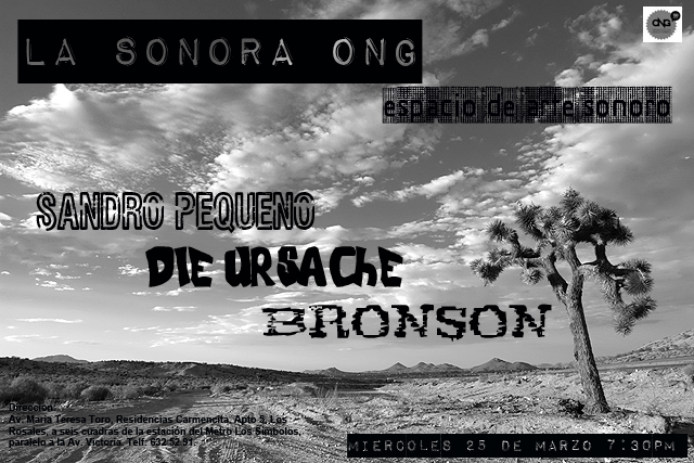 ong-sonora-1.jpg
