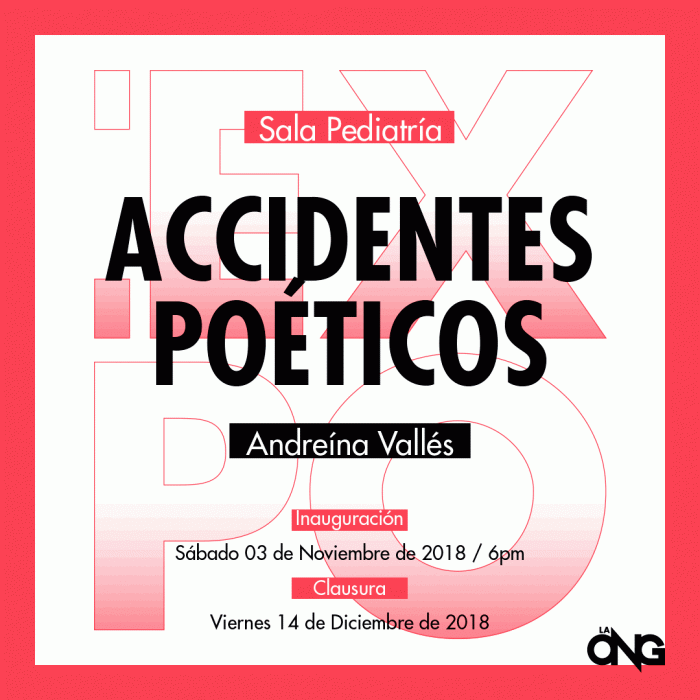 Flyer_Expo-Accidentes-Poeticos_Andreina-Valles-LaONG_2018-e1658397481532.gif