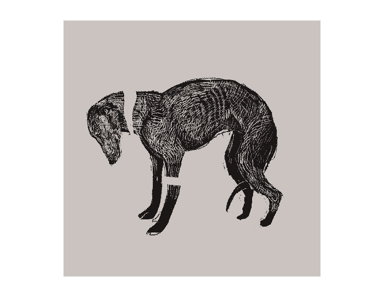 PortafolioMariaOctavia-05