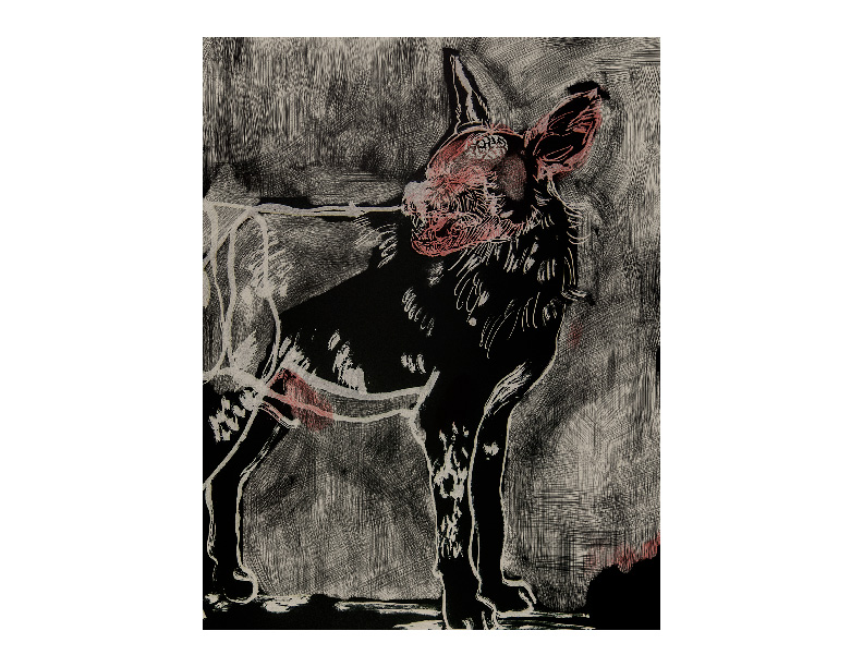 PortafolioMariaOctavia-07