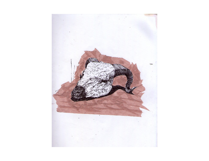 PortafolioMariaOctavia-12