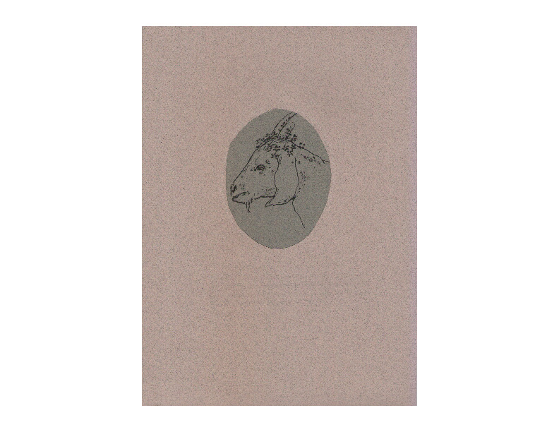 PortafolioMariaOctavia-14