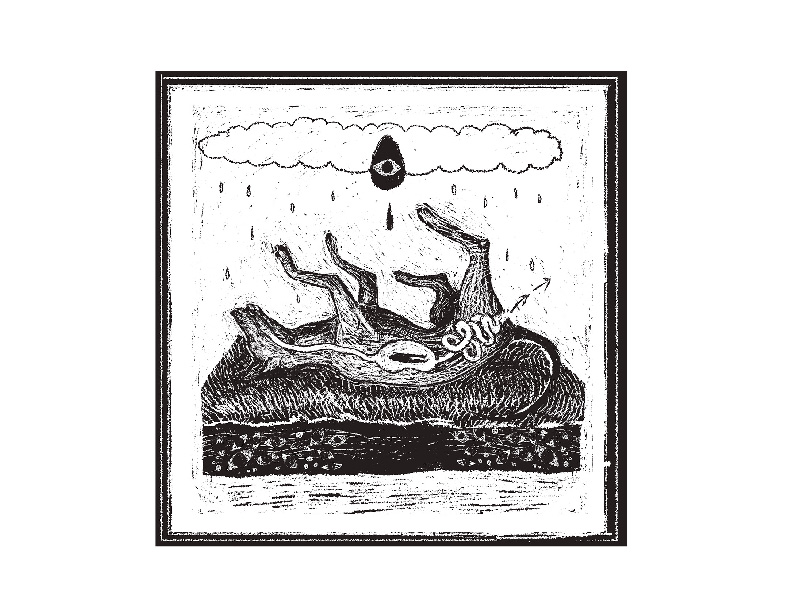 PortafolioMariaOctavia-16