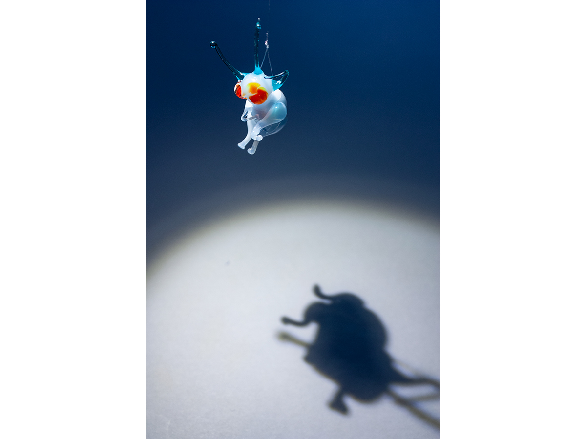 LA_ONG_20