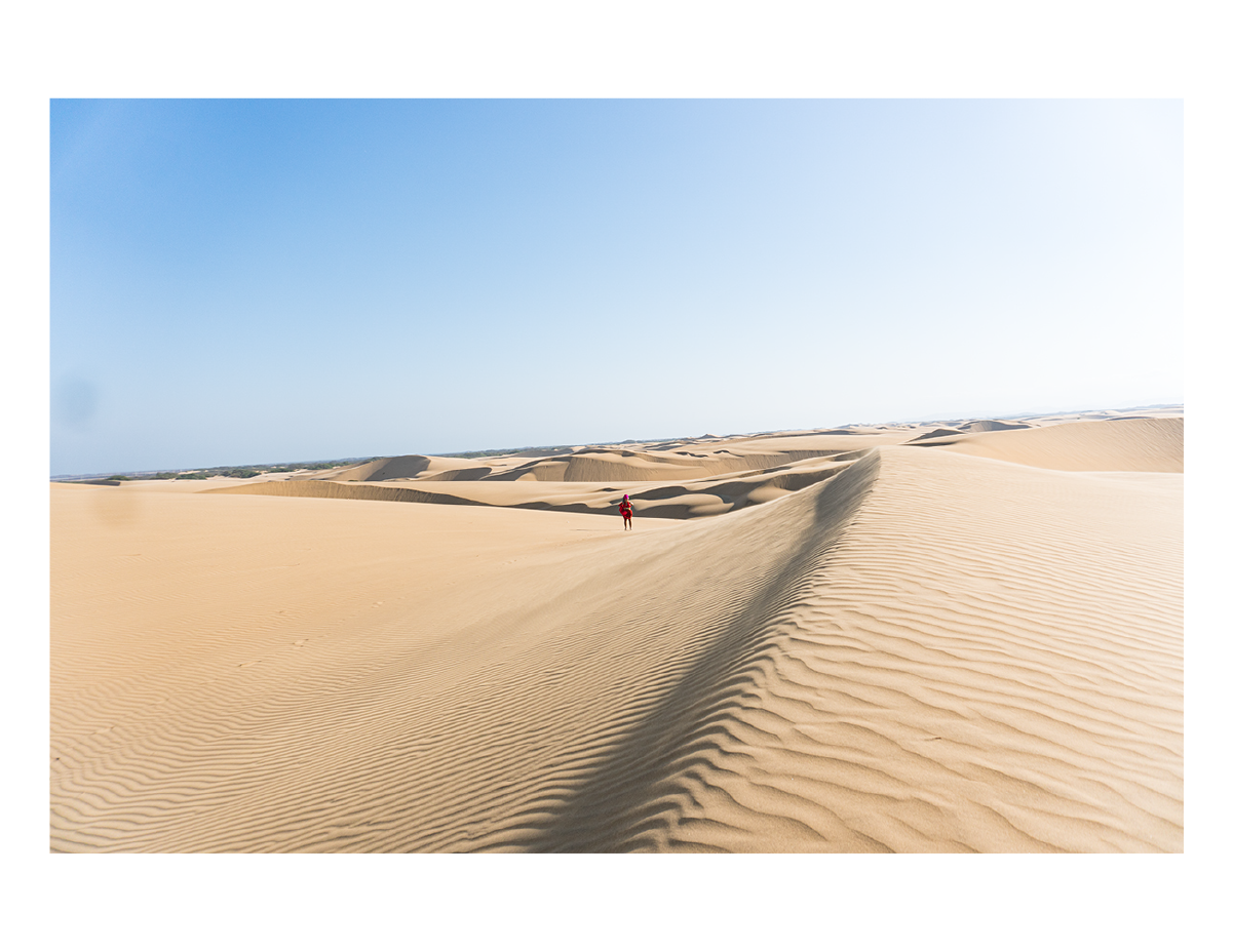 Portafolio_DanielDannery-03