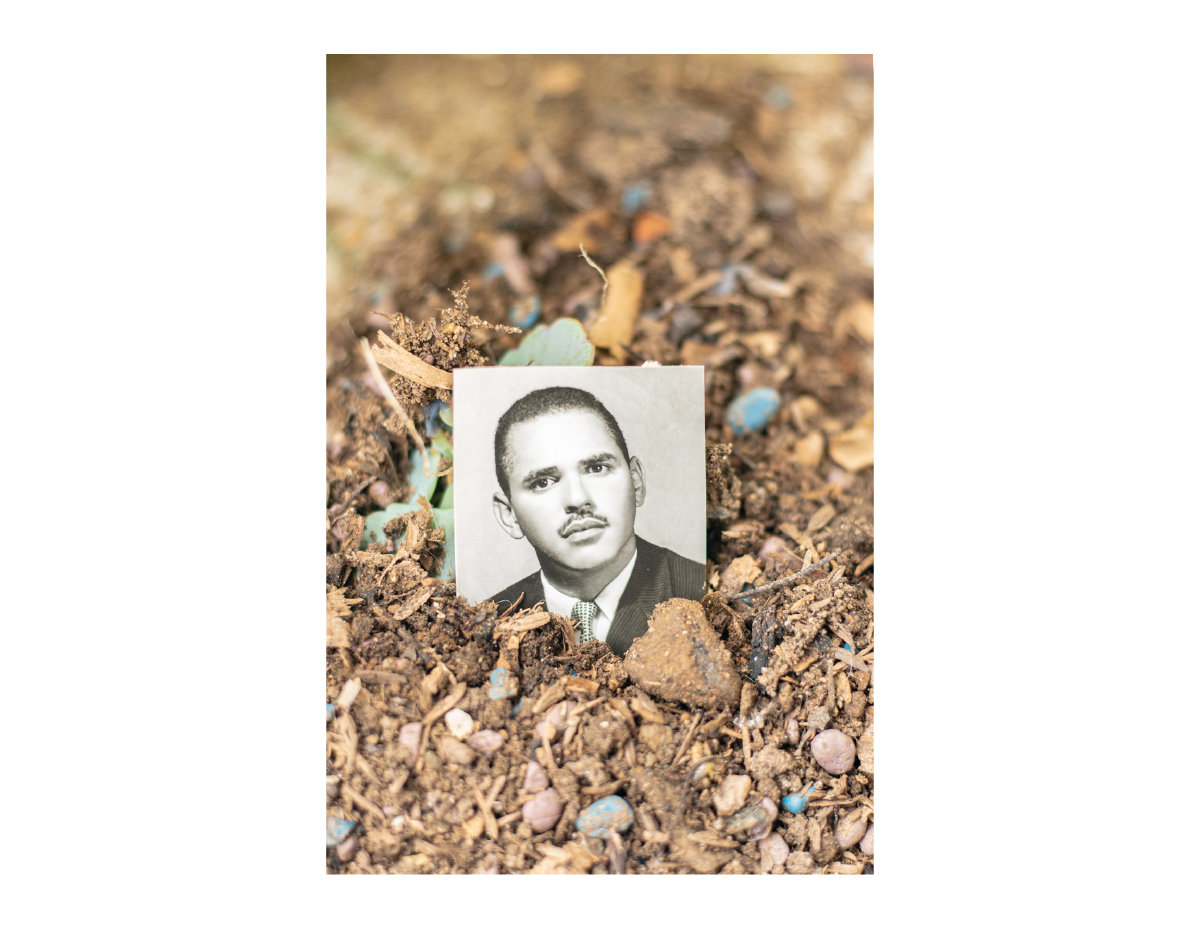 Portafolio_DanielDannery-11