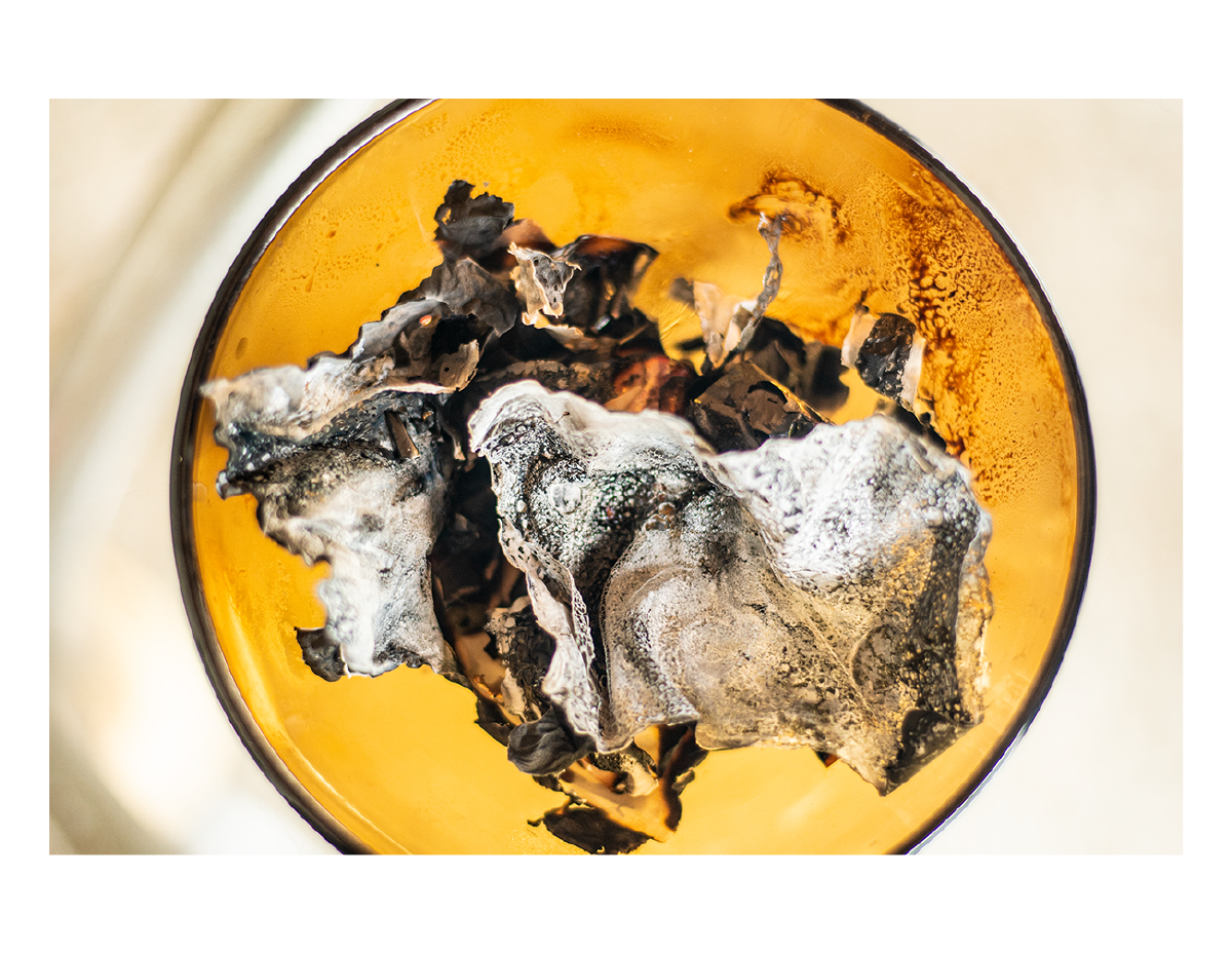 Portafolio_DanielDannery-13