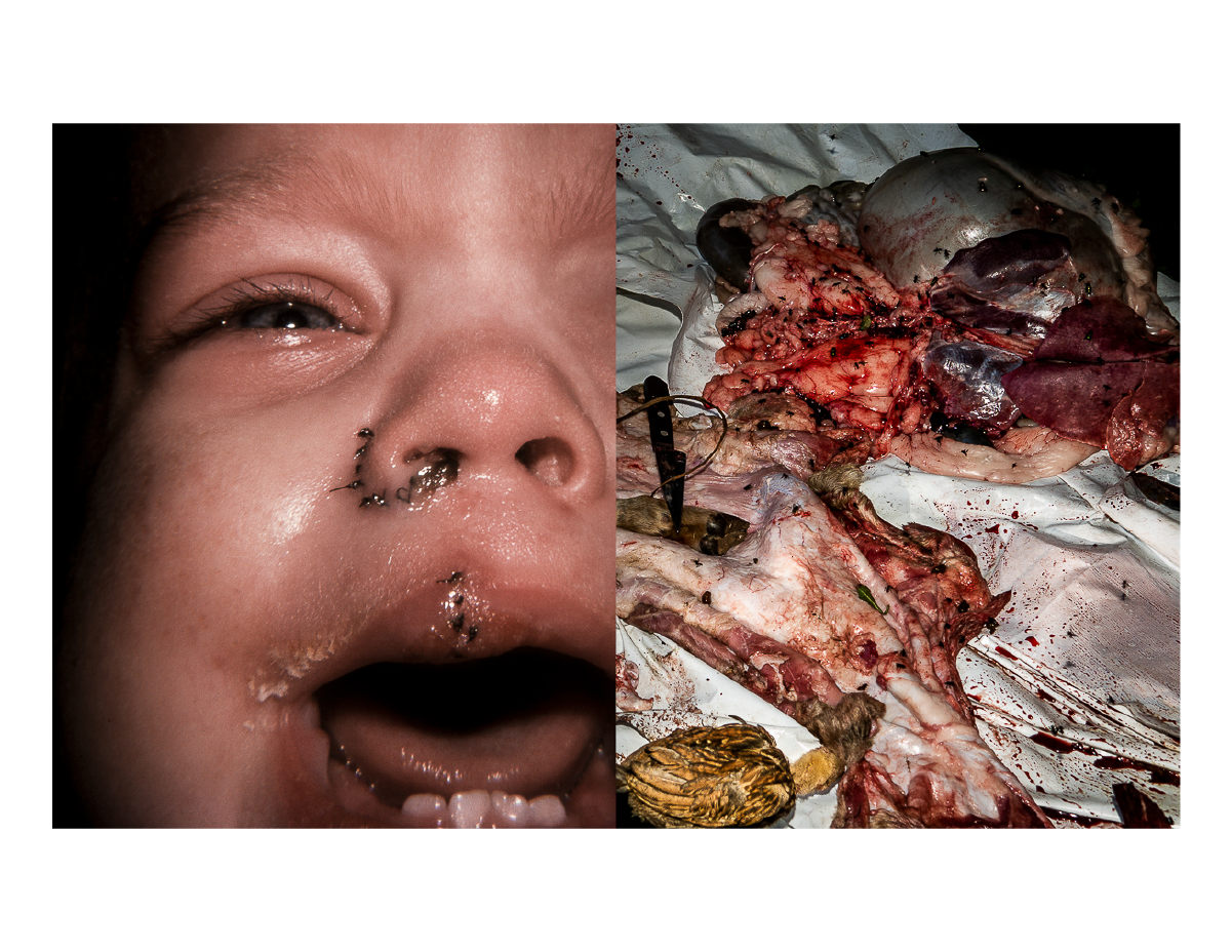 Portafolio_RaulJimenez-05